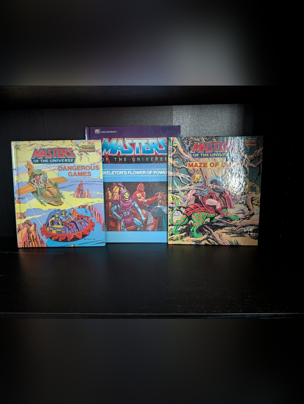 Three Masters Of The Universe Books
